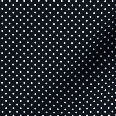 02 Graphite- Polka Dots- 1/8 inch- Petal Solids Coordinate- Solid Color- Faux Texture Wallpaper- Halloween- Dark Gray- Grey