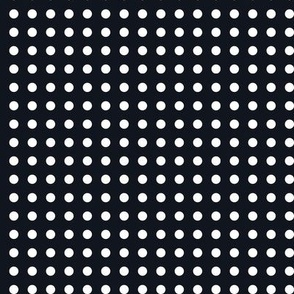 02 Graphite- Polka Dots on Grid- 1/4 inch- Petal Solids Coordinate- Solid Color- Faux Texture Wallpaper- Halloween- Dark Gray- Grey