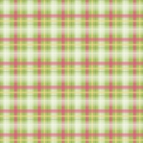 Plaid Pink on Green