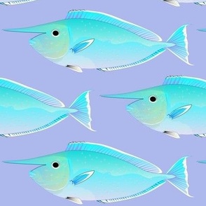 Whitemargin unicornfish on lavender 7in