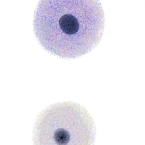 Cells from the human body prints are also available. 
Cytology,  pathology,  histology,  teaching and learning guide.  Use it on any science project.  
Other cell types are in the shop and in our site CytoNerd.com 