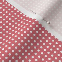 23 Watermelon- Polka Dots on Grid- 1/8 inch- Petal Solids Coordinate- Dopamine Wallpaper- Coral- Flamingo- Pink- Valentines Day