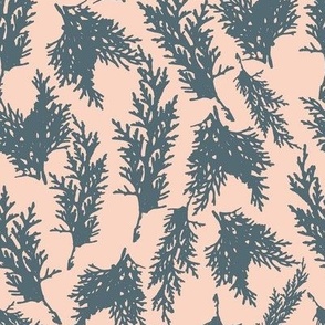  Pink Pines