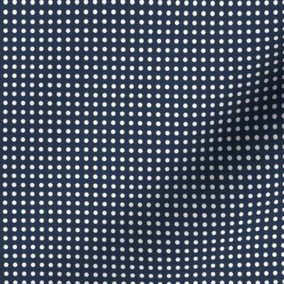 30 Navy- Polka Dots on Grid- 1/8 inch- Dark Blue- Petal Solids Coordinate- Faux Texture Wallpaper- Blue- Navy Blue- Indigo Blue