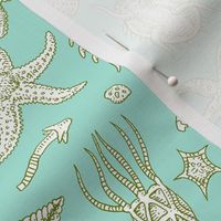Sea Stars and Friends - Greens on White