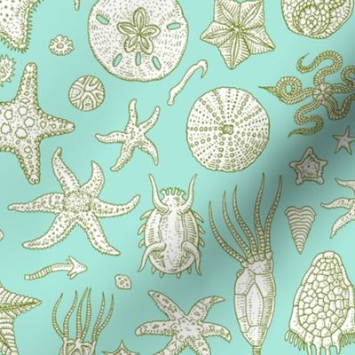 Sea Stars and Friends - Greens on White