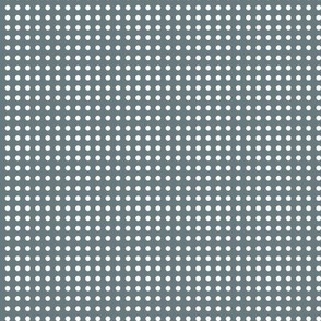 35 Slate- Polka Dots on Grid- 1/8 inch- Petal Solids Coordinate- Neutral Wallpaper- Gray Blue- Grey- Muted Blue- Neutral