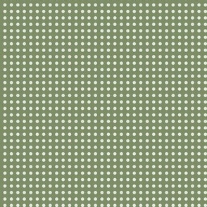 42 Sage- Polka Dots on Grid- 1/8 inch- Petal Solids Coordinate- Earthy Green Wallpaper- Gray Green- Pine- Muted Green- Forest- Neutral Earthy Green