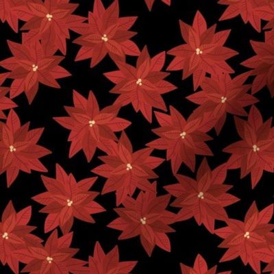 Seasonal poinsettia blossom winter christmas design red on black 