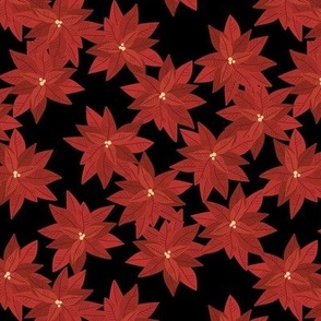 Seasonal poinsettia blossom winter christmas design red on black 