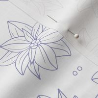 Minimalist freehand boho garden - Christmas blossom poinsettia flowers and seeds lavender blue on white