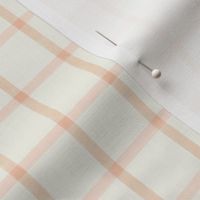 Medium Scale - Picnic Blanket  (Strawberries & Cream)