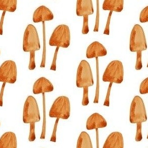 3 Mushrooms