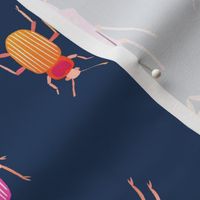 Fancy beetles in navy