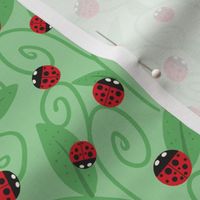 Ladybugs on Green