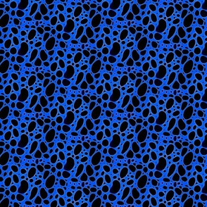 Animal  print on blue