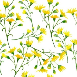 Yellow Wildflower & Green Leaves on White Background