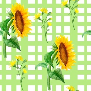 Sunflowers and Wild Flowers on Green Plaid Tartan