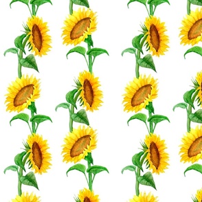 Watercolor Sunflower in Vertical Lines