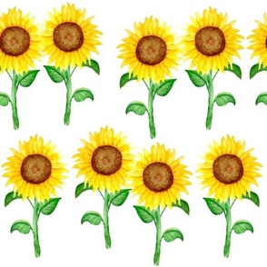 Watercolor Sunflowers on White Background