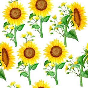 Sunflowers & Wild Flowers on White Background