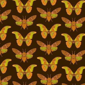 Seamless pattern with butterfly cicadas sketch, yellow orange mustard olive green contour on dark brown background. simple art. 