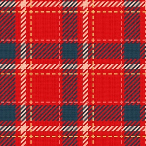 Normal scale // Reworked tartan cloth // vivid red background nile blue flesh coral and golden textured criss-crossed vertical and horizontal stripes