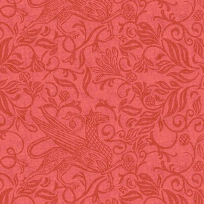 griffon-coral_red