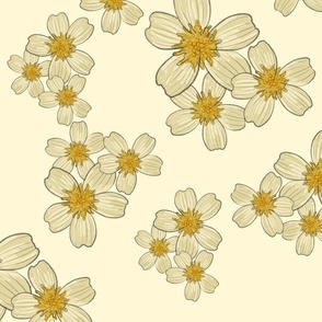 Field of beige and yellow Daisies - beige background