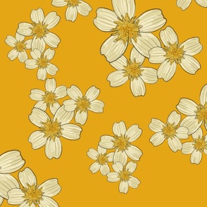 Field of beige and yellow Daisies - yellow background 