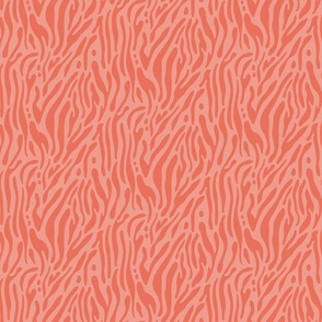 Coral zebra / Smal scale