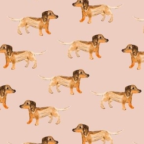 Watercolor painted dachshund puppies - cute sausage dogs minimalist kids design caramel on blush beige