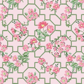 Pink and Green Lattice And Climbing Flowers