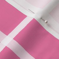 Reverse Jane Plaid White on Valentine Pink