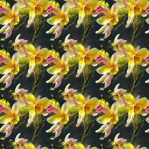 2366 - abstract yellow orchids