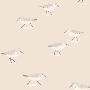 Sandpipers on Warm Beige