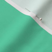 Plain solid aqua green.  Perfect for bedding, wallpaper, duvet cover and fabric. 