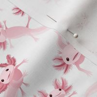 Pink Axolotls on White