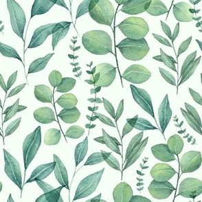 Watercolor eucaplyptus leaves bouquet | light green