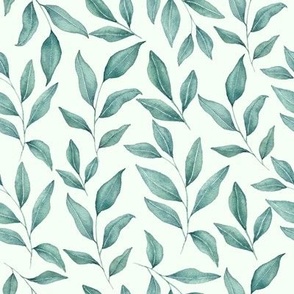 Delicate Watercolor eucaplyptus leaves| light green