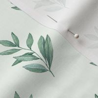 watercolor eucalyptus leaves| light green