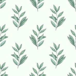 watercolor eucalyptus leaves| light green