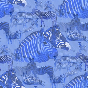 Blue Zebra Abstract Animal Print