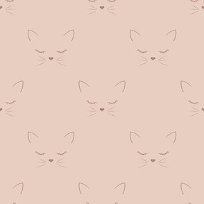 Coffee meow cat on cocoa background