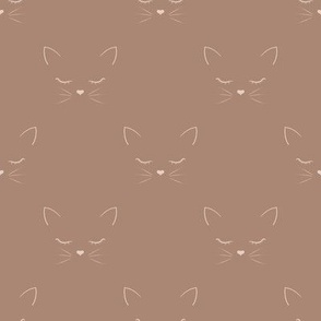 Cocoa meow cat on coffee background