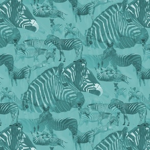 Zebras in Teal 