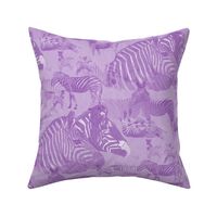 Zebra Abstract in Lavender