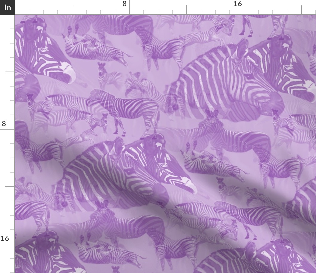 Zebra Abstract in Lavender