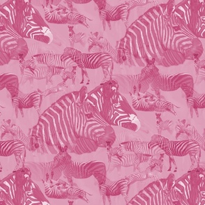 Zebra Abstract design in Pink