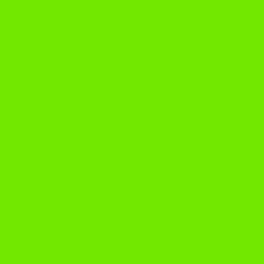 Solid Bright Green fabric